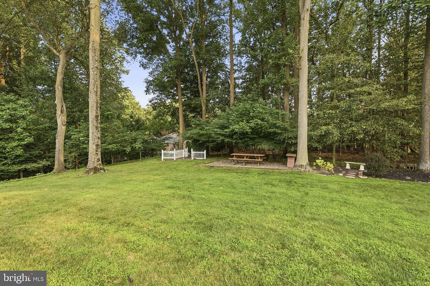 Level rear lawn bordered by mature woods